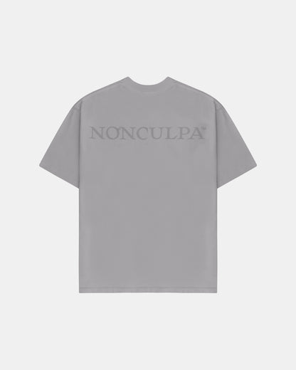 T-SHIRT BÁSICOS 001 (GRIS)