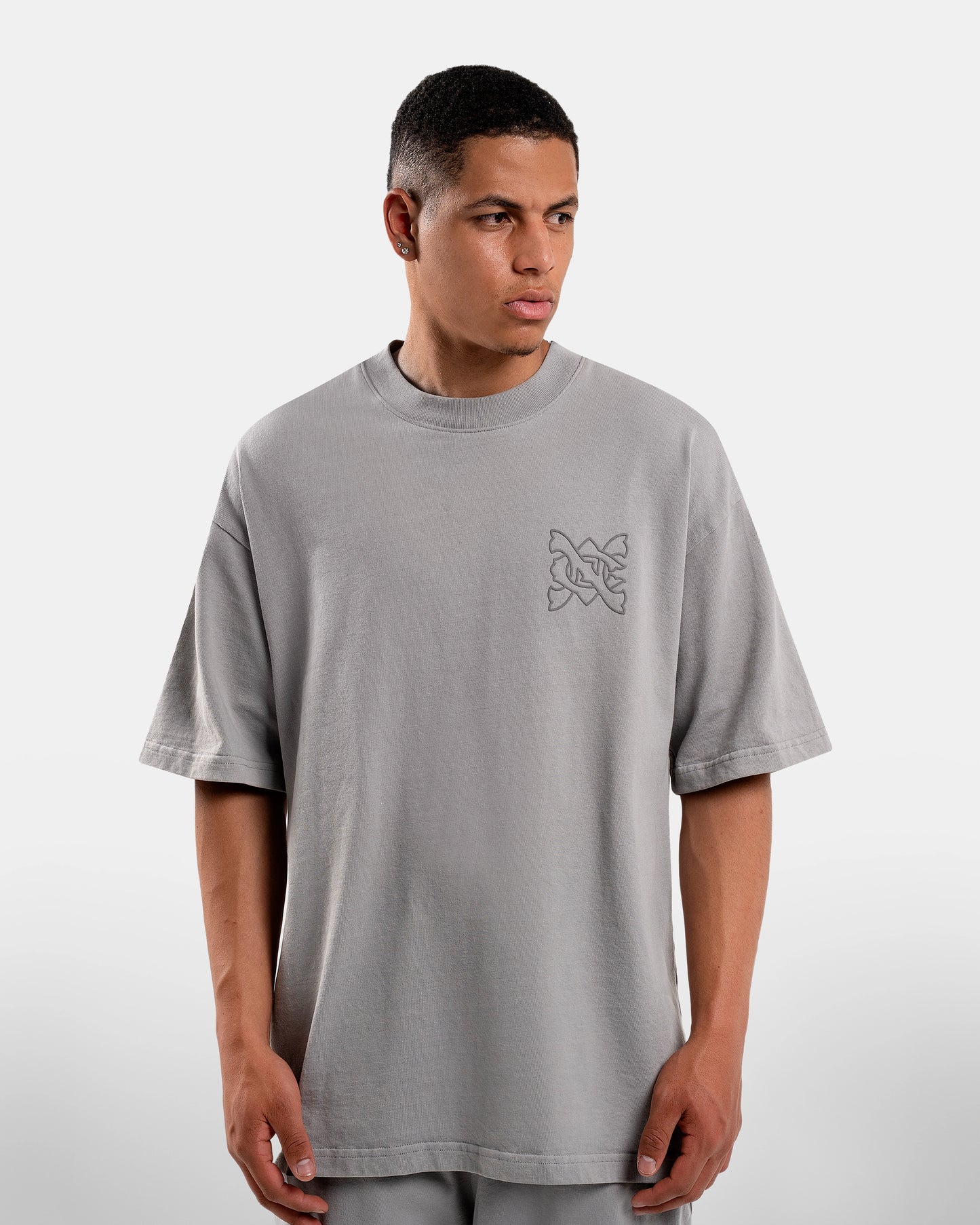 T-SHIRT BÁSICOS 001 (GRIS)